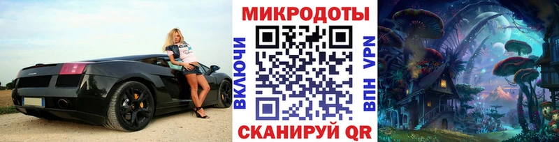 где купить наркотик Благовещенск Галлюциногенные грибы Psilocybe