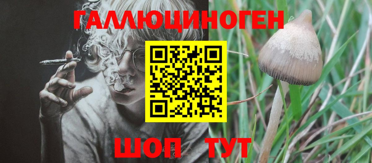 Галлюциногенные грибы мицелий  Вход с VPN  Псилоцибиновые грибы мицелий  Благовещенск 