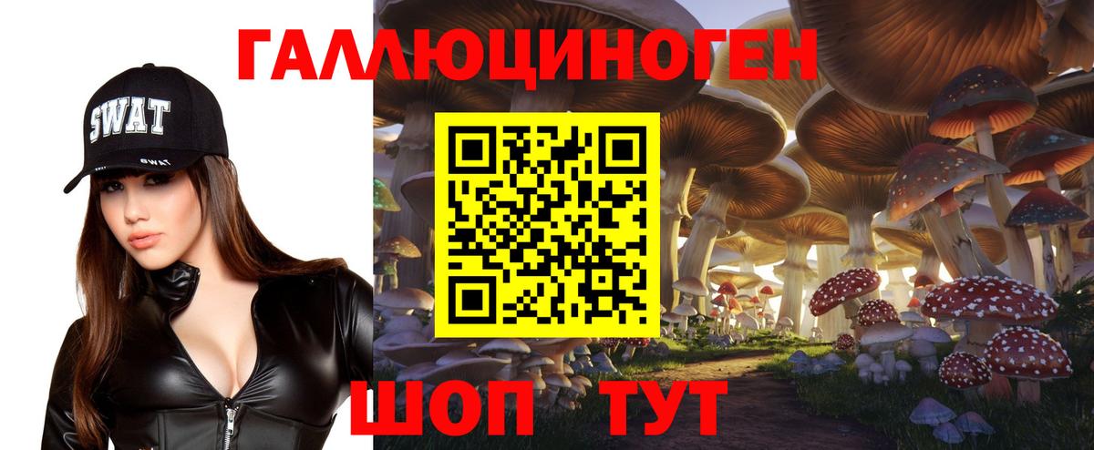 Псилоцибиновые грибы ЛСД Благовещенск